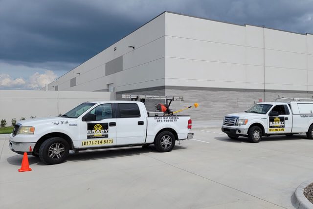 Best Pest Control Services in Cedar Hill TX