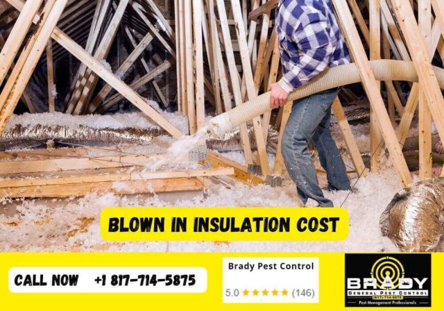 How Much Does Blown in Insulation Cost in Grand Prairie, Texas - Brady Pest Control