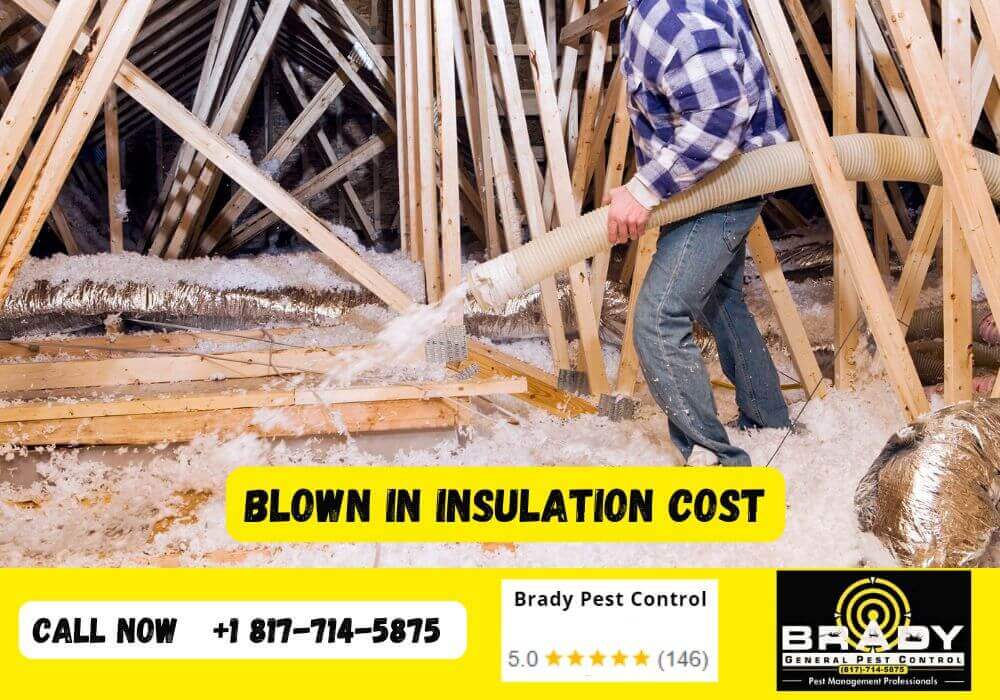 How Much Does Blown in Insulation Cost in Grand Prairie, Texas - Brady Pest Control