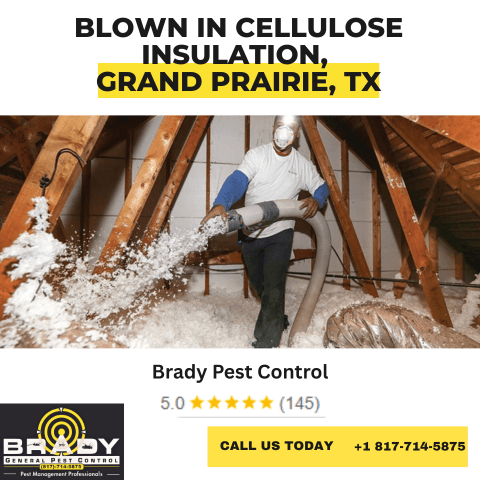 Blown in Insulation Near Me | Blown in Attic Insulation | Blown Insulation | Attic Insulation Texas - Brady Pest Control