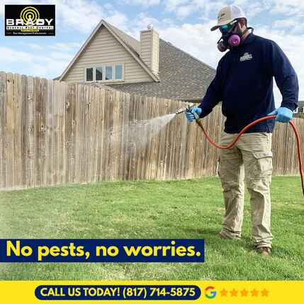 Pest Control Grand Prairie