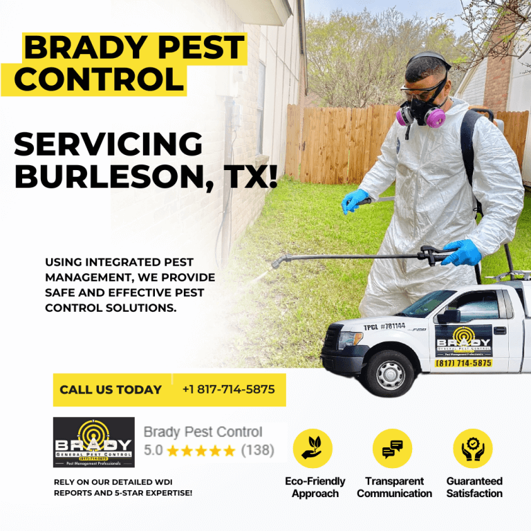 Burleson Pest Control Company | Burleson Pest Control Near Me - Brady Pest Control