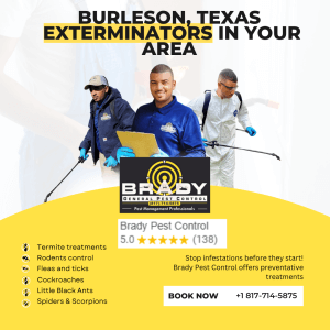 Burleson Local Pest Control Near Me - Brady Pest Control