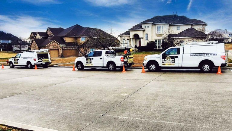 Cedar Hill T Pest Control Expert | Cedar Hill T Pest Control Near Me
