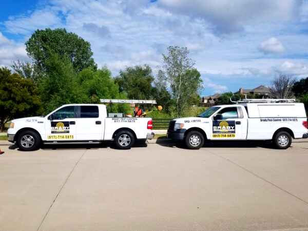 Fort Worth Termite Control Specialists