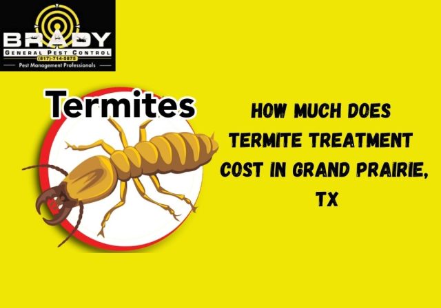 How Much Does Termite Treatment Cost in Grand Prairie, TX in 2026