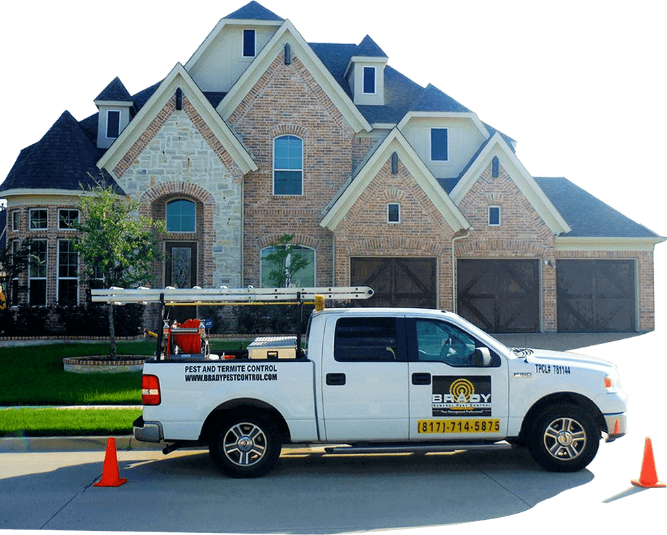 Brady Pest Control Grand Prairie, TX | Same Day Pest Control Solutions Pest Control Near Me | Same Day Pest Control Grand Prairie - Brady Pest Control