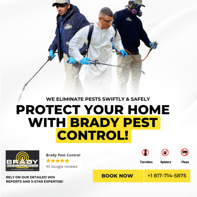 Waxahachie, TX Same Day Pest Control Company  | Pest Control Near Me - Brady Pest Control