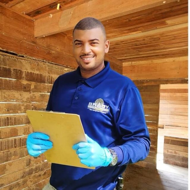 Best Time for Pest Control in Grand Prairie, Texas Spring | Why Choose Brady Pest Control for Argentine Ants - Brady Pest Control