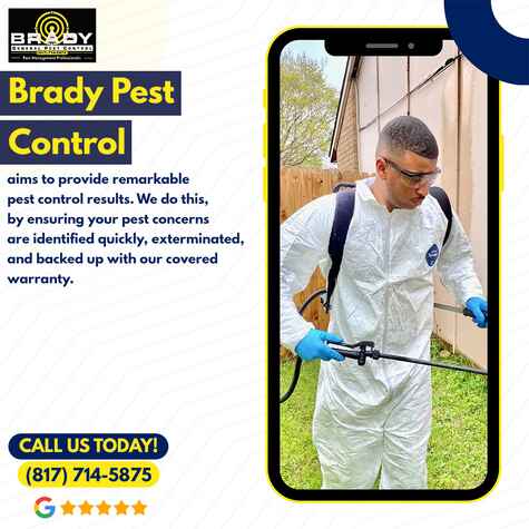 Brady Pest Control Experts in Arlington TX | Exterminator Arlington TX Pest Control