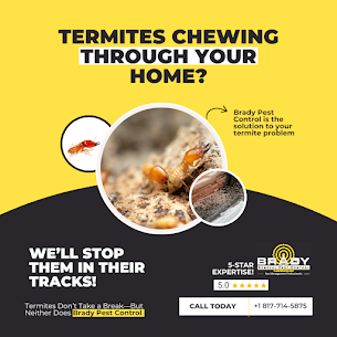 Termite Inspections and Treatment Grand Prairie, TX  Termite Inspector  WDI Report - Brady Pest Control
