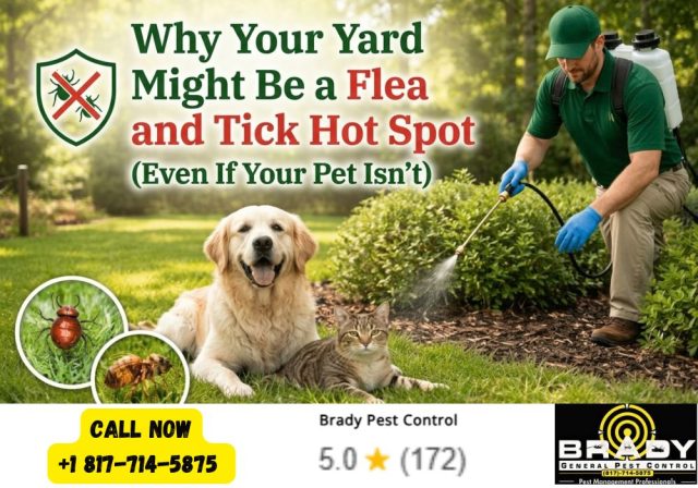 Why Your Yard Might Be a Flea and Tick Hot Spot (Even If Your Pet Isn't)