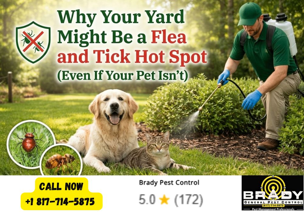 Why Your Yard Might Be a Flea and Tick Hot Spot (Even If Your Pet Isn't)